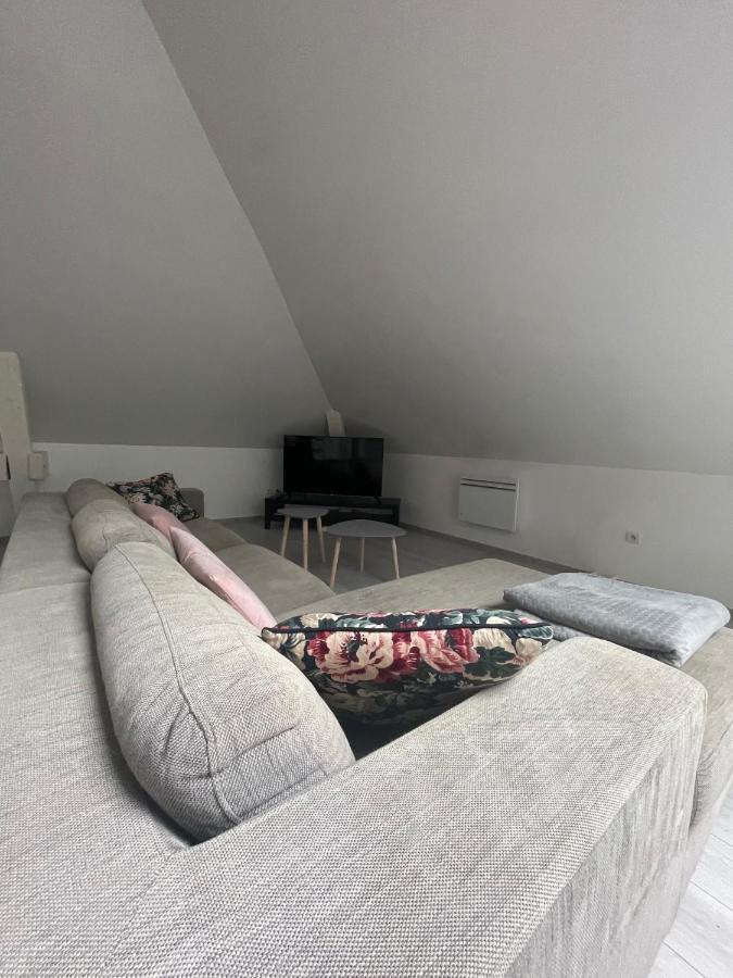 Dream Loft Leilighet Colmar Eksteriør bilde